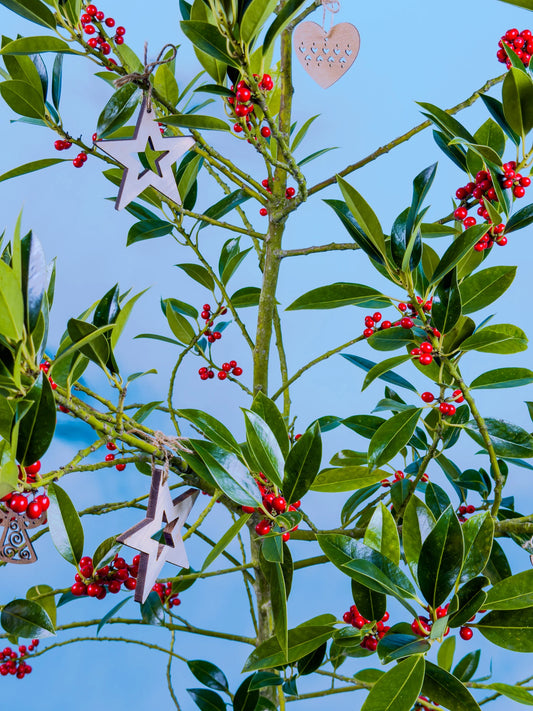 Ilex tak bestellen als duurzaam kerst alternatief