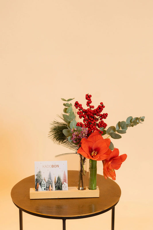 Prachtig kerstcadeau van bloemen. Snel bezorgd