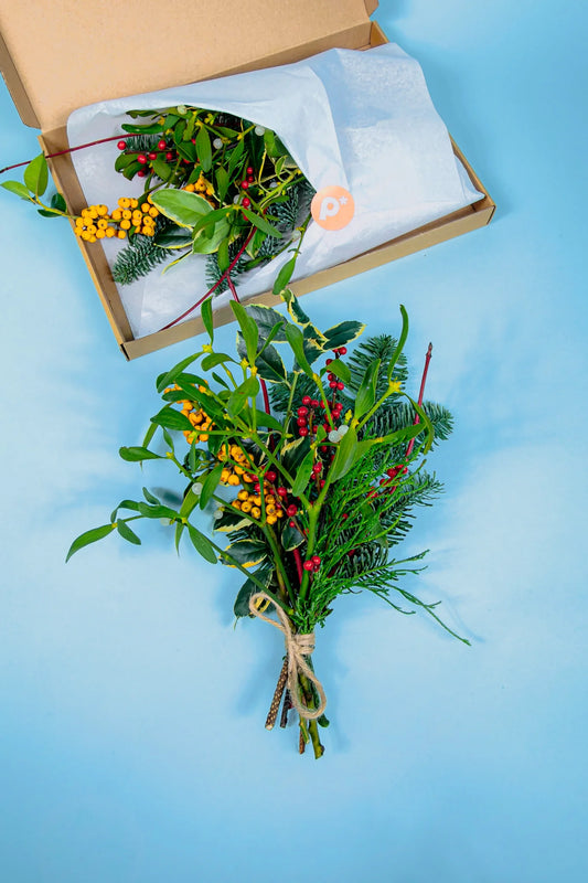 Mistletoe ultieme kerst wens
