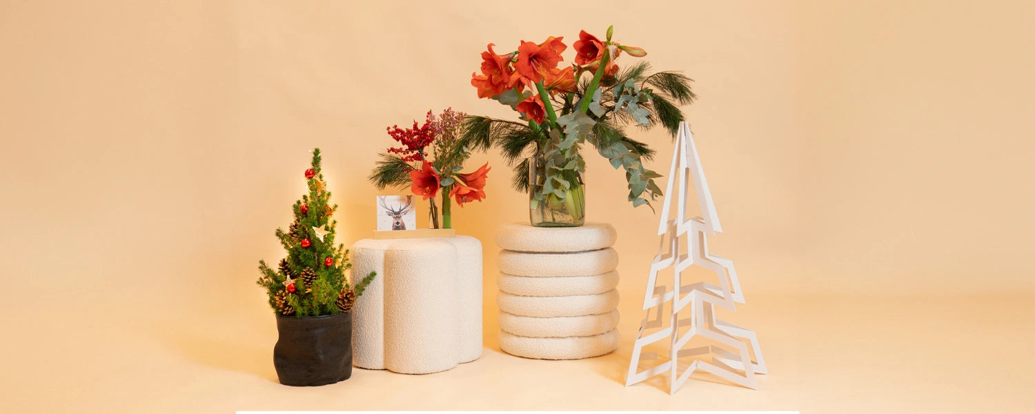 Kerstboompje in verschillende stijlen en kleuren, aanpasbaar aan elke voorkeur voor een persoonlijke touch in jouw feestelijke decor