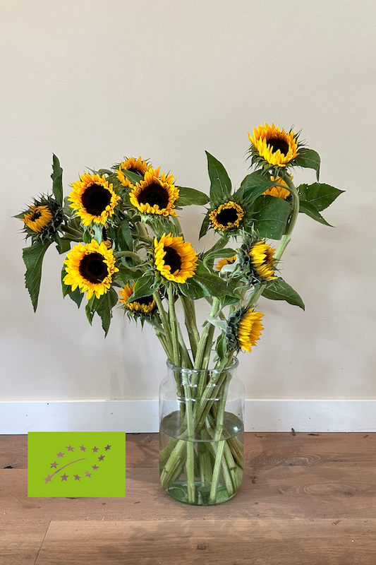 Bestel biologische zonnebloemen online – vrolijk en duurzaam cadeau