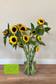 Bestel biologische zonnebloemen online – vrolijk en duurzaam cadeau