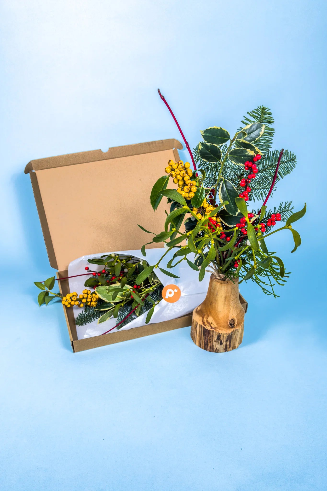 prachtige kerst mistletoe
