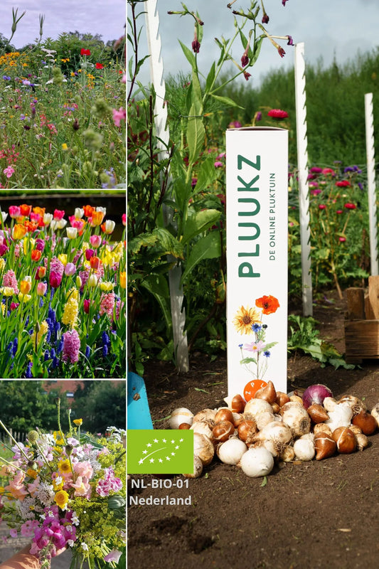 Biologische Pluktuin Bloembollenmix met Muscari, Narcissus en Tulipa kopen 