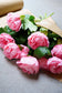 Plukverse pioenrozen laten bezorgen? Wij hebben de mooiste van het seizoen voor jou verzameld!