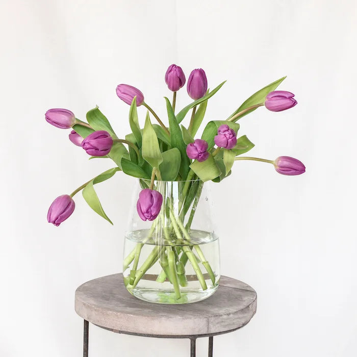 Paarse tulpen bestellen? Paarse tulpen zorgen voor rust en ontspanning. Wie gun jij ontspanning?