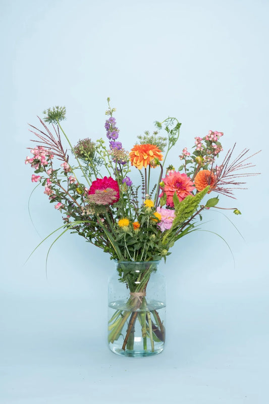 Biologische dahlia’s boeket kopen – vers, lokaal en duurzaam bestellen