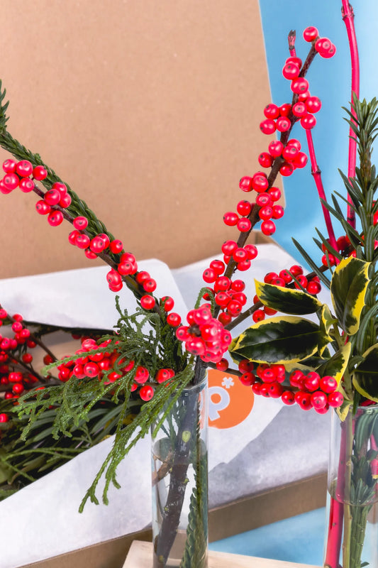 Prachtig brievenbus kerst cadeau