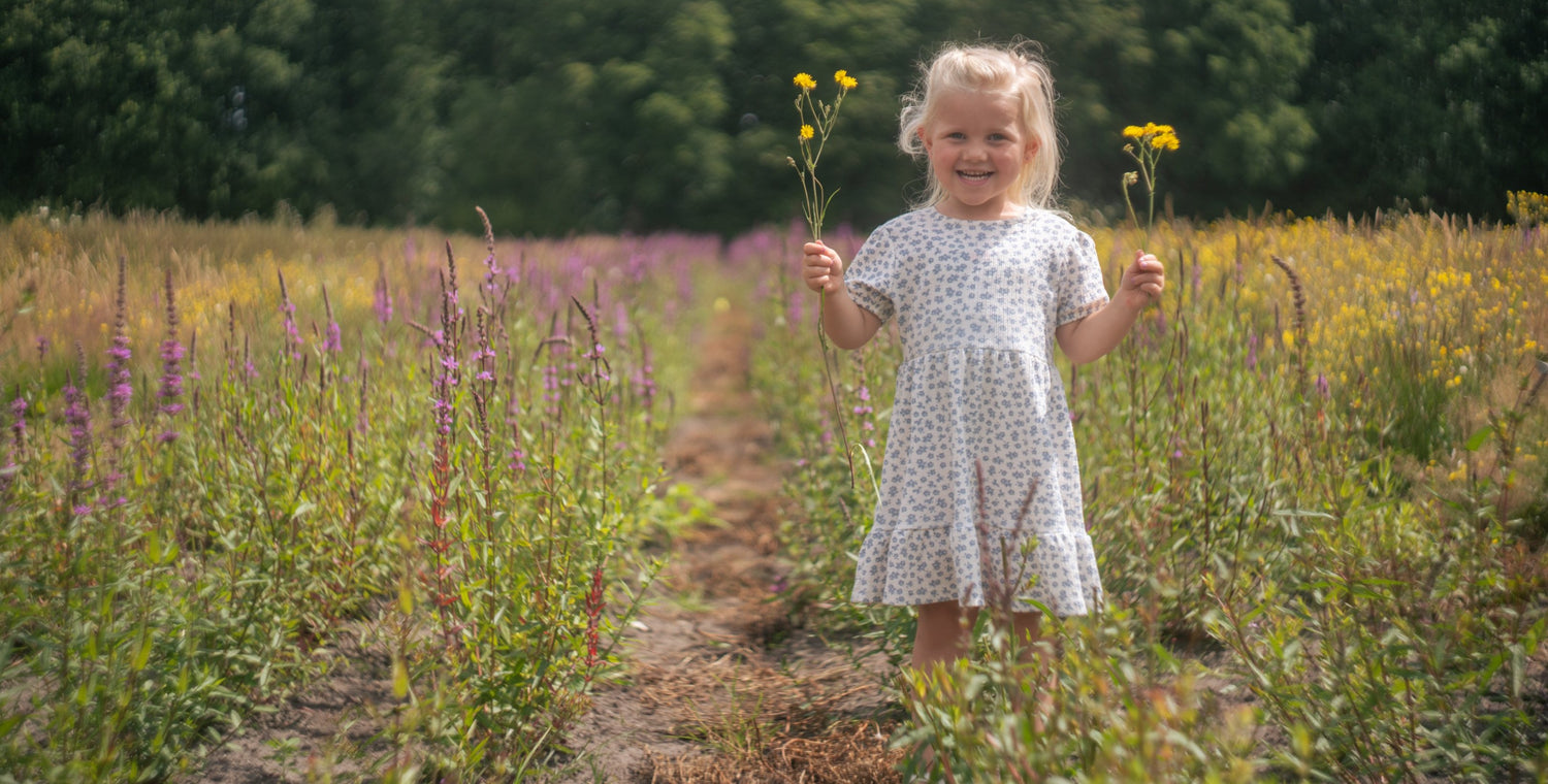 Seizoensbloemen bezorgen vers van het Nederlandse veld