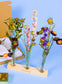 Droogbloemen vaasjes set biologisch en lokaal. Shop PLUUKZ