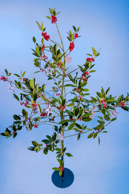 Duurzame ilex hulst uit Nederlandse teelt als kerstboom alternatief kiezen voor een veilige keuze