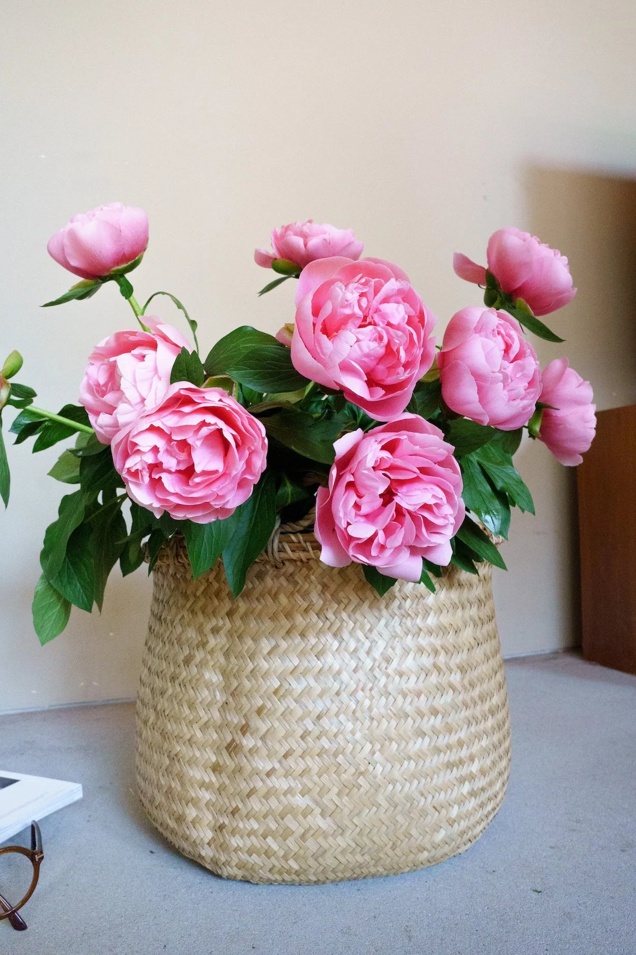 Roze pioenrozen laten bezorgen? Heerlijk unieke pioenrozen plukvers van de kweker! Bijna nergens anders te krijgen