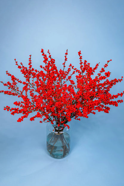 Grote bos biologisch geteelde bessentakken