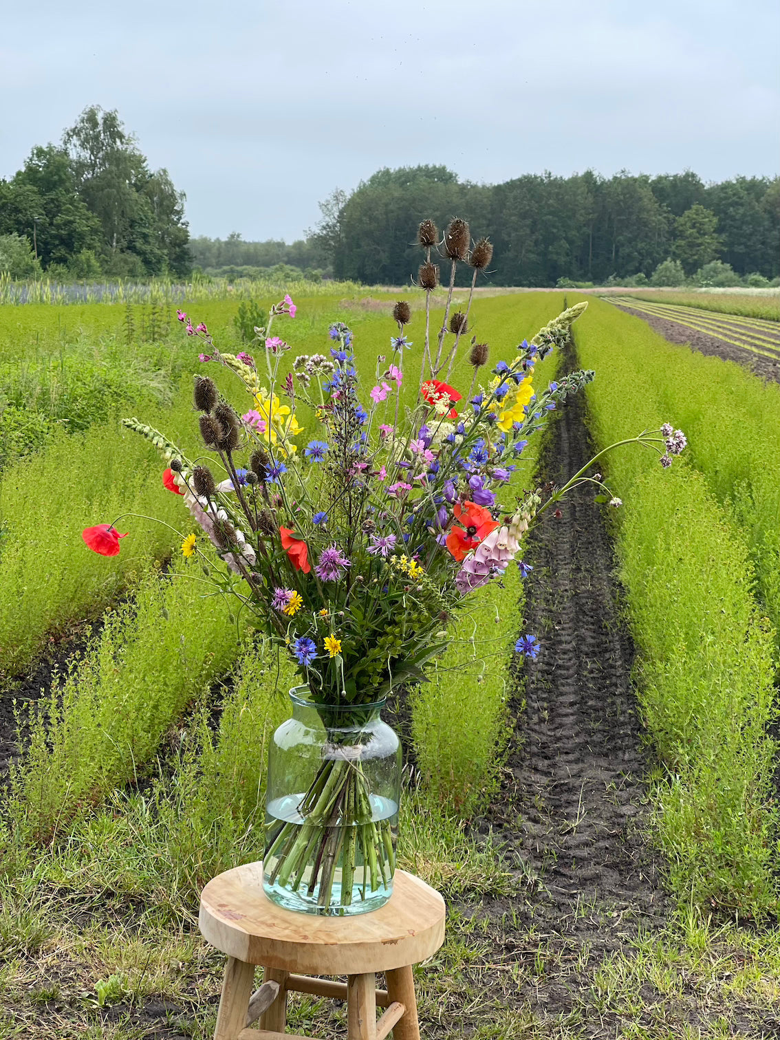 Uniek natuurlijk inheems veldboeket