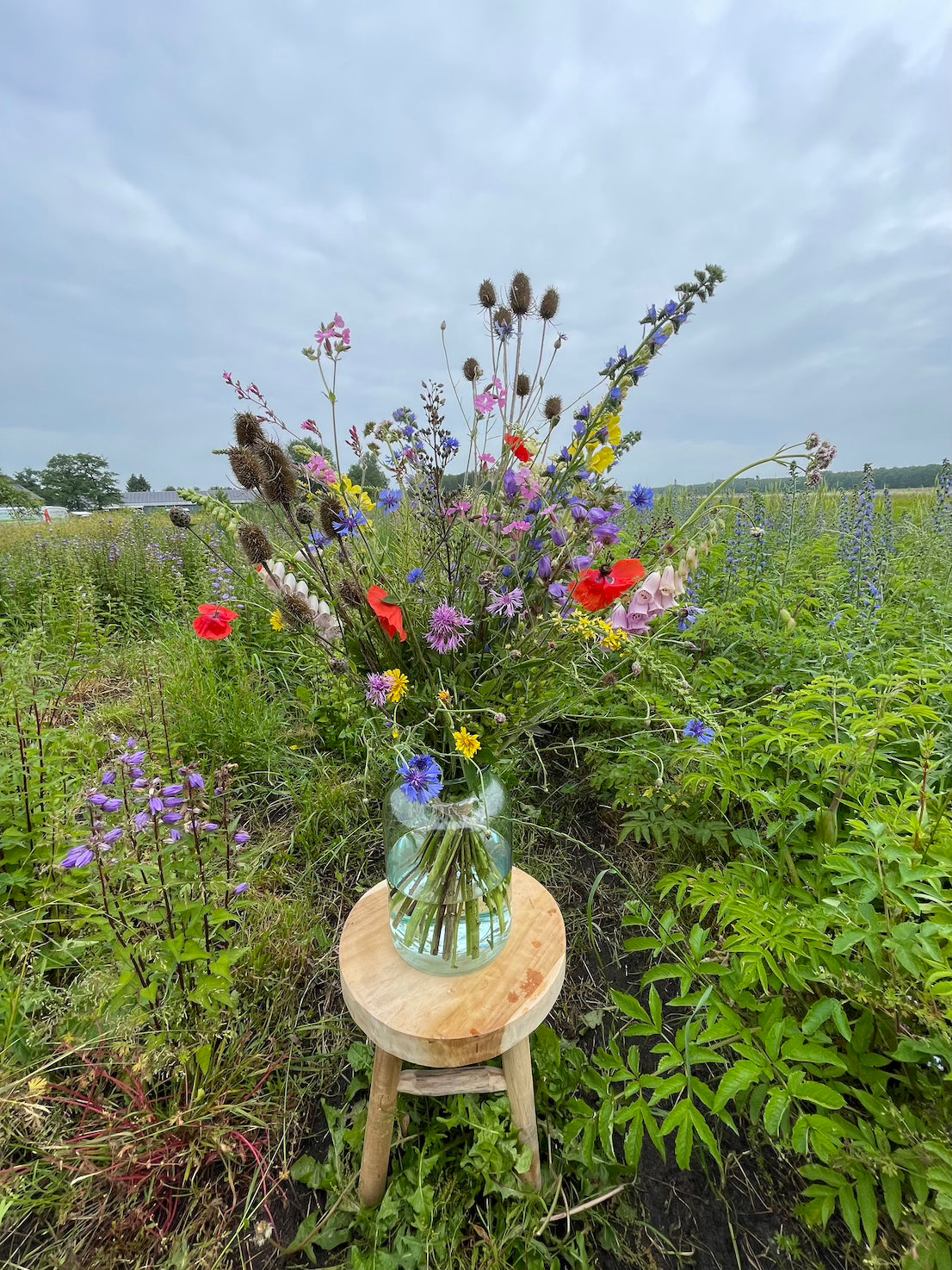 Inheems Pluktuin boeket vers van de pluktuin naar de vaas