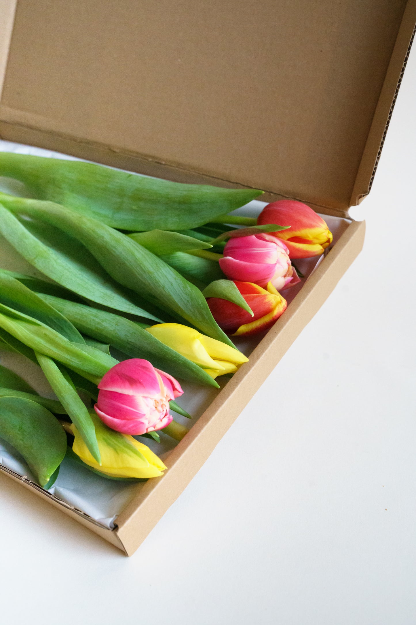 Brievenbus bloemen bestellen? Wij hebben heerlijke plukverse tulpen van de kweker!