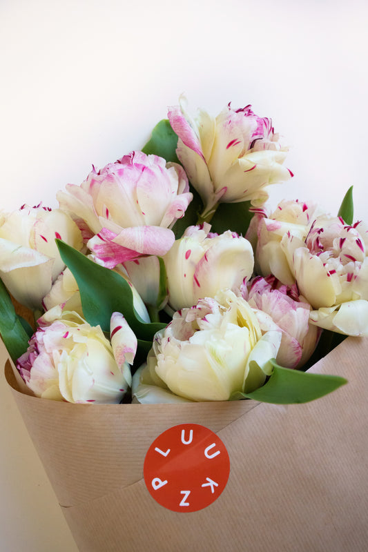Op zoek naar mooie Franse tulpen? Wij leveren vers en snel in heel Nederland