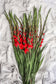 Prachtige rode gladiolen boeket van Pluukz! Eenvoudig online bestellen en de bloemen laten bezorgen wanneer dan ook in Nederland of belgie. 