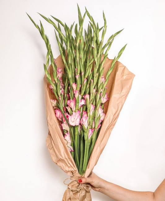 Roze gladiolen laten bezorgen? Eenvoudig online bestellen en de bloemen laten bezorgen wanneer dan ook in Nederland of belgie. 
