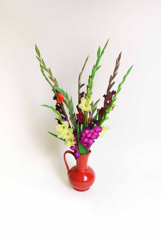 Gladiolen bestellen? Wij bezorgen plukvers van de kweker