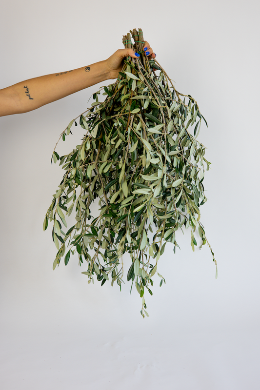 Olijftakken vers bestellen? Wij leveren snel en vers thuisbezorgd!