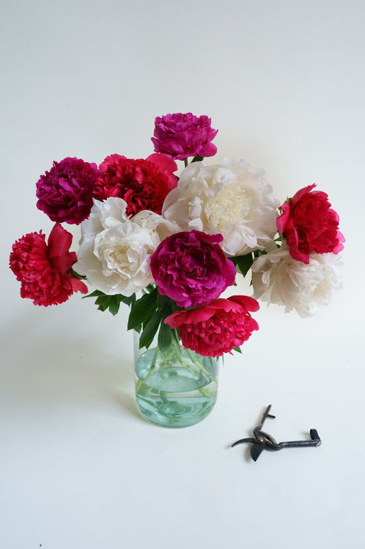 Plukverse pioenroos mix met prachtige bloemen! Wij bezorgen unieke bloemen met passie geteeld plukvers en snel!