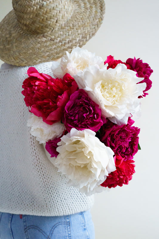 Pioenrozen mix bestellen of online kopen? Wij bezorgen unieke bloemen met passie geteeld plukvers en snel!