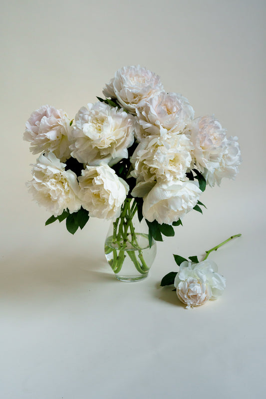 Witte pioenrozen laten bezorgen? Unieke bloemen, met passie geteeld plukvers en razendsnel bezorgd!