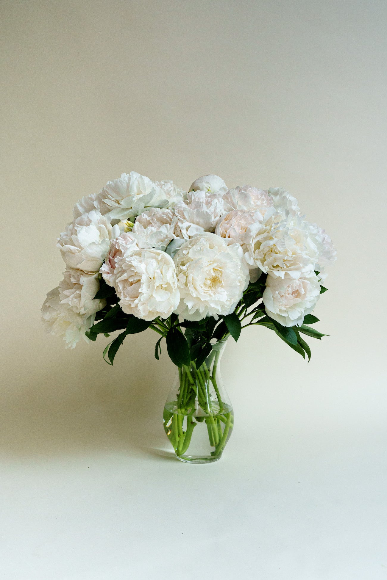 Pusuny 4 bundels pioenrozen kunstbloemen, nep-bordeauxrode pioenen voor huisdecoratie en bruidsboeket, neppioenbloemen, bulk als handwerk Pusuny 4 bundels pioenrozen kunstbloemen, nep-bordeauxrode pioenen voor huisdecoratie en bruidsboeket, neppioenbloemen, bulk als handwerk