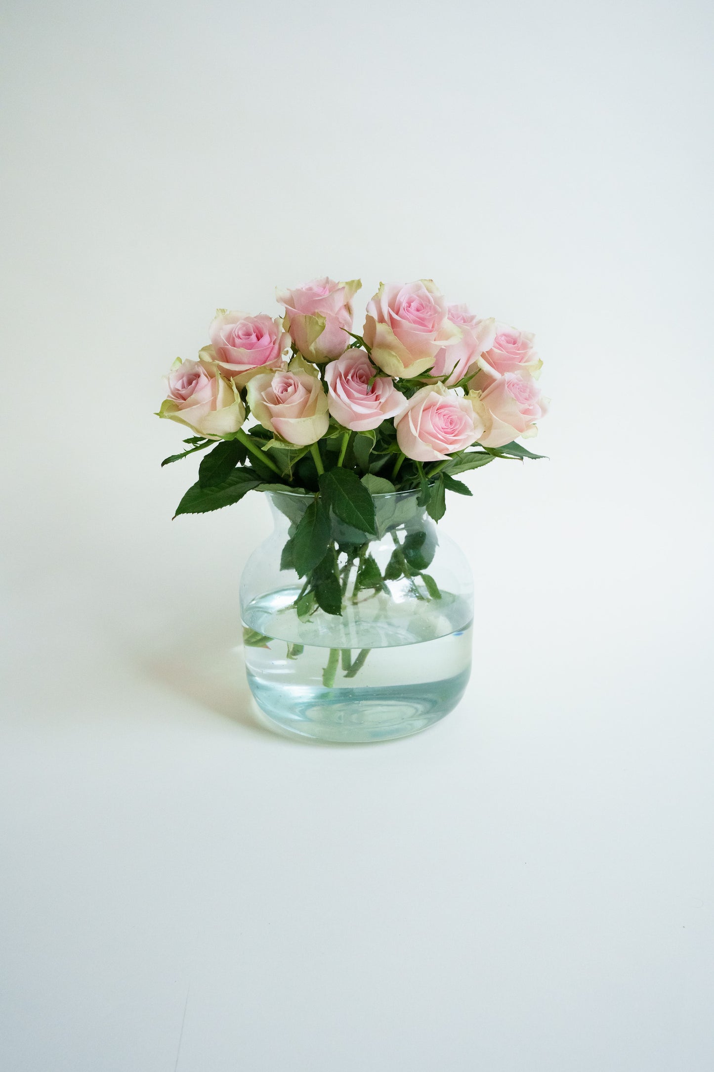 Roze roosjes door de brievenbus laten bezorgen? Wij bezorgen onze bloemen plukvers en razendsnel!