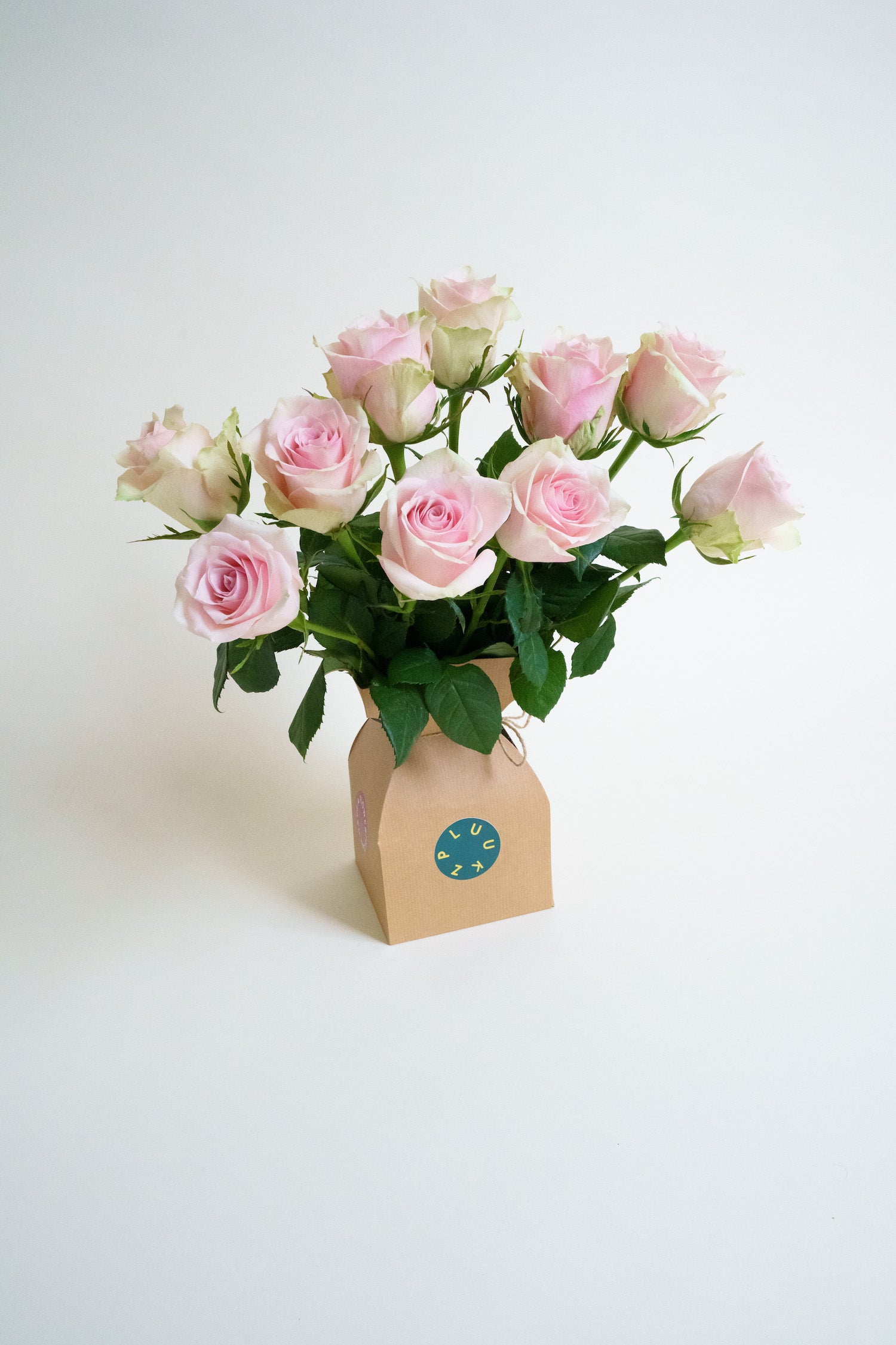 Plukverse bloemen door de brievenbus laten bezorgen? Rozen worden altijd goed ontvangen. Wie verras jij?