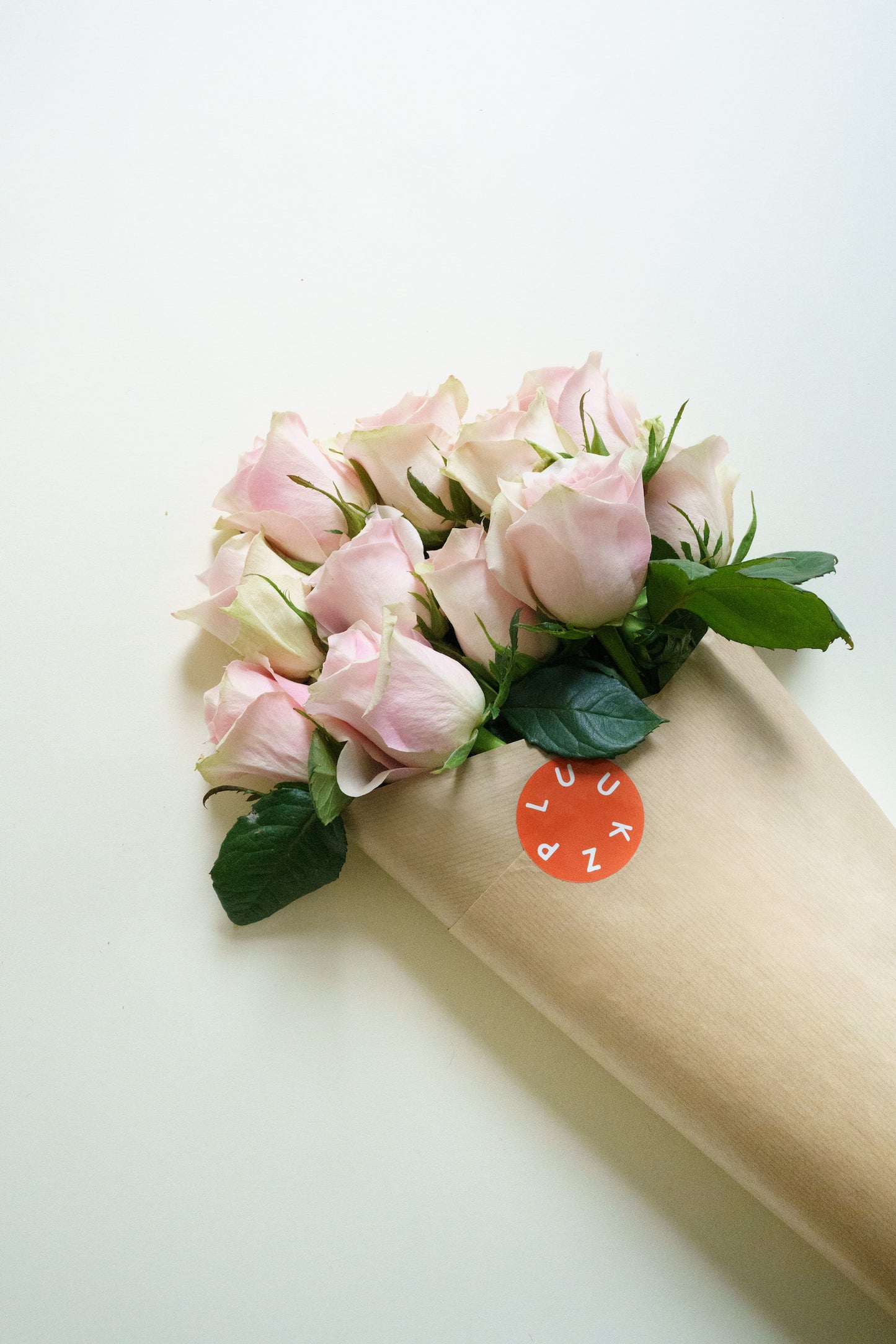 Brievenbus rozen bestellen? Wij bezorgen deze heerlijke roze variant door de brievenbus!
