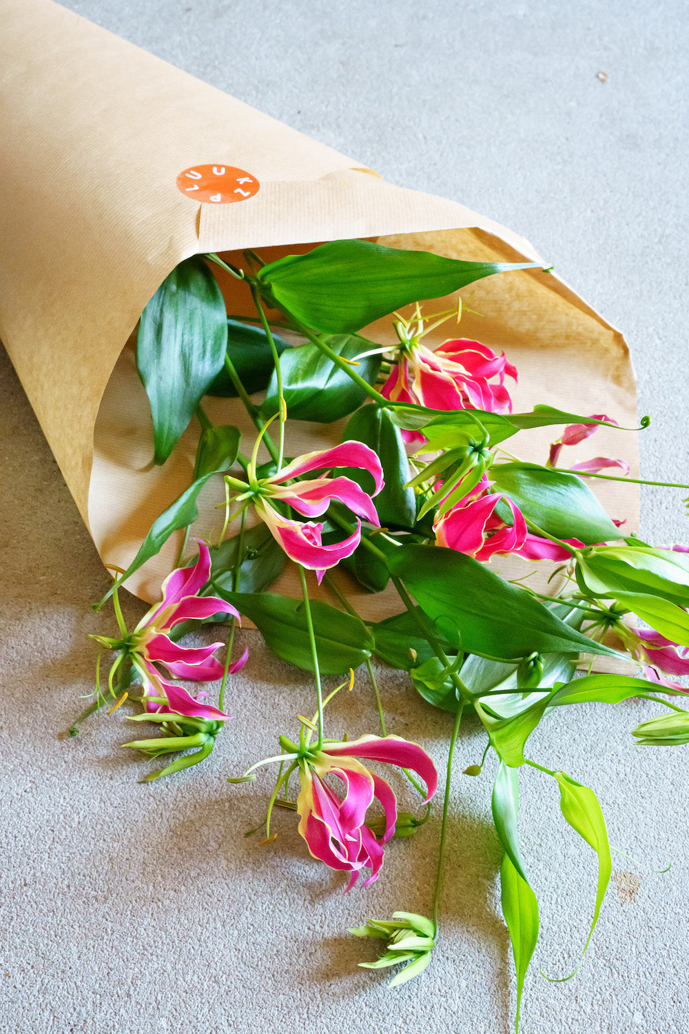 Unieke bloemen bestellen? Deze gloriosa zal je versteld doen staan van de bijzondere bloem!