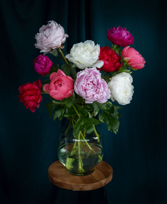 Pioenrozen boeket laten bezorgen? Dit luxe pioenrozen boeket maakt iedereen blij! Plukvers van de kweker snel bezorgd!