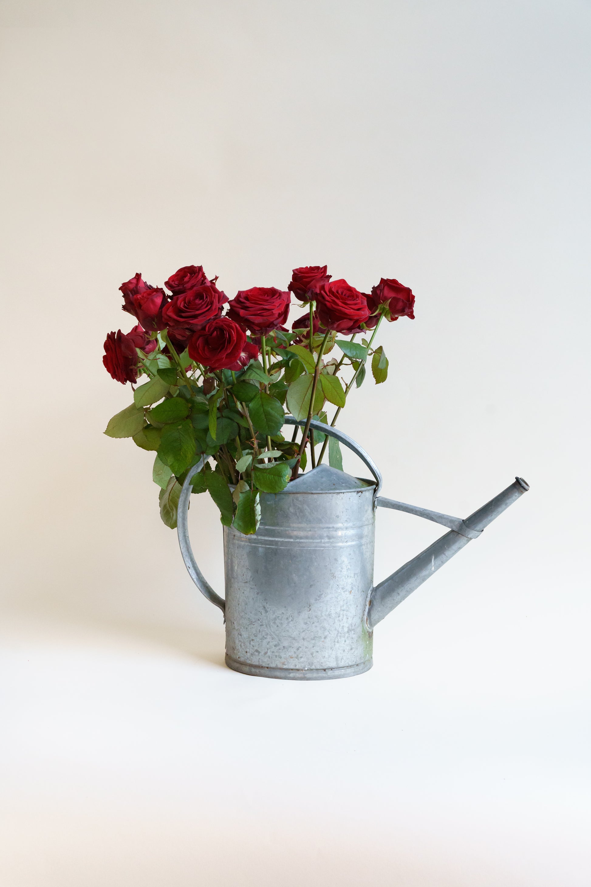 Rode rozen online bestellen?  Wij bezorgen onze bloemen plukvers en razensnel
