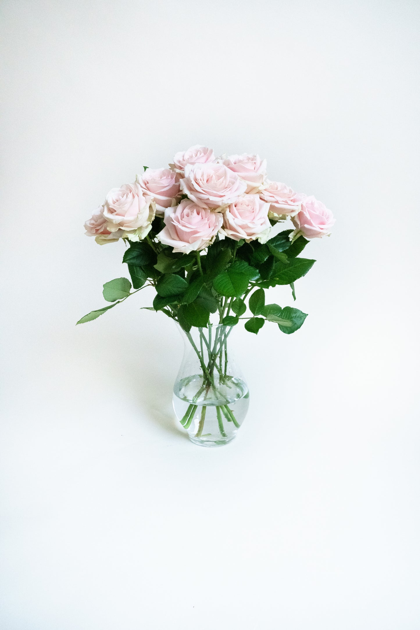 Roze rozen laten bezorgen? Echt verassen met A kwaliteit van de beste Nederlandse kwekers