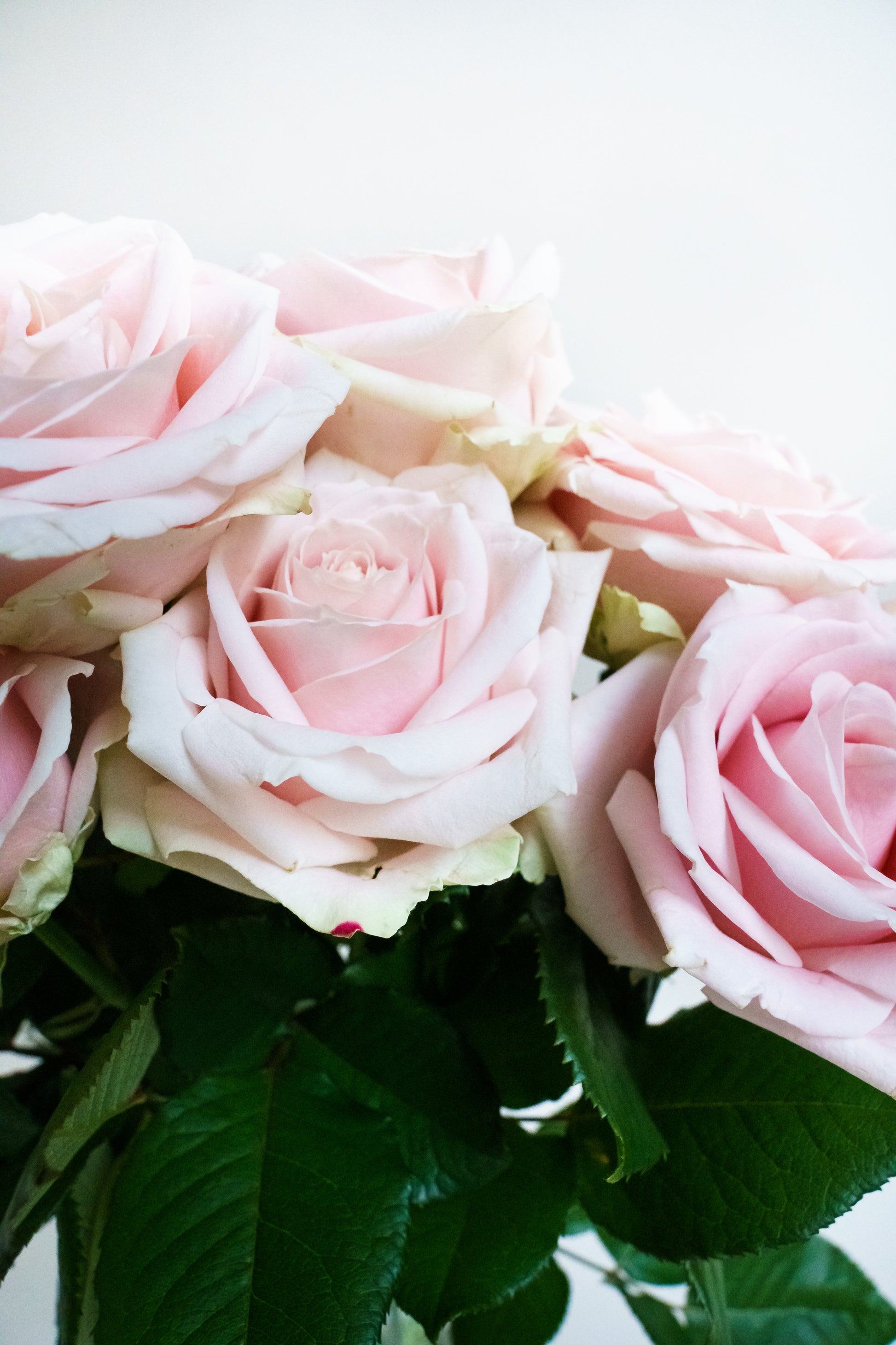 Een boeket roze rozen thuis laten bezorgen? Makkelijk online bloemen bestellen