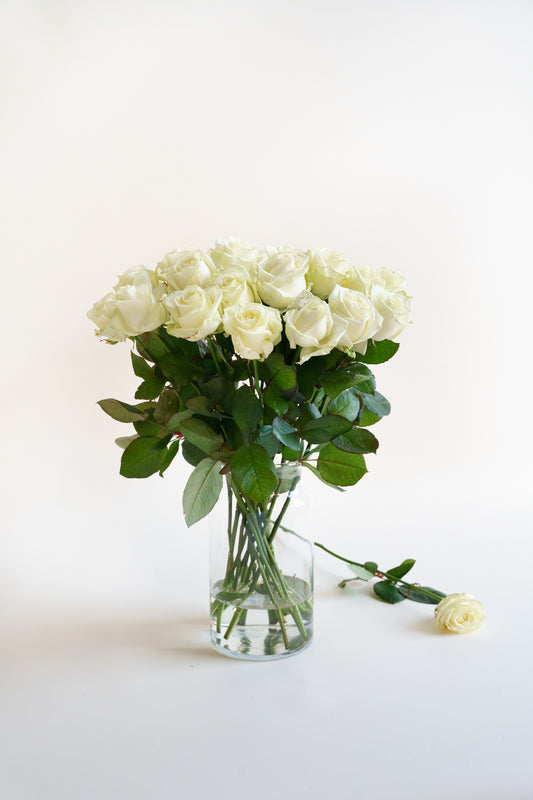 Witte rozen bestellen? Heerlijke witte A kwaliteit rozen van de bestel Nederlandse kwekers