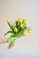 Online tulpen plukvers van de kweker. Wij bezorgen onze tulpen cadeaus razendsnel en plukvers in heel Nederland! 