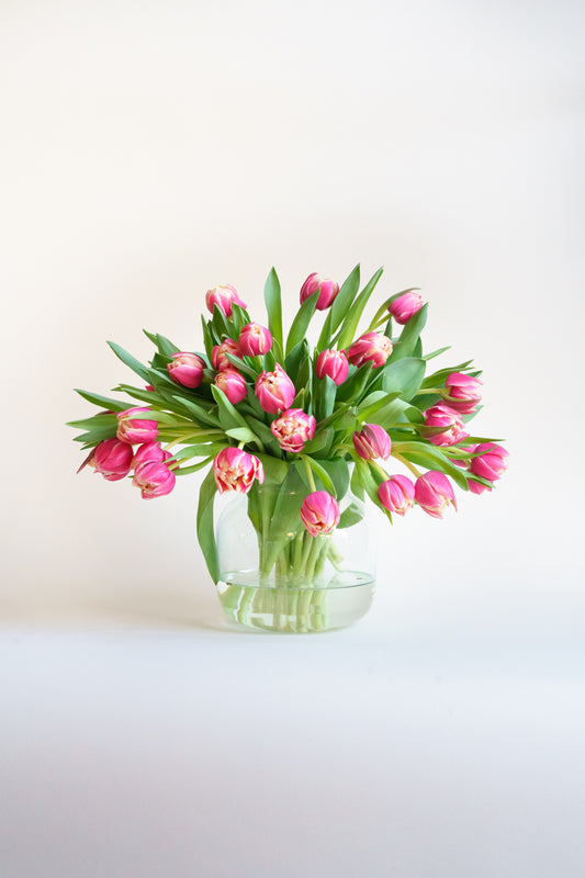 Pioentulpen laten bezorgen? Wij hebben deze heerlijke plukverse roze met wit welke groot favoriet is van vele vrouwen. Plukverse bloemen van de teler razendsnel bezorgd!