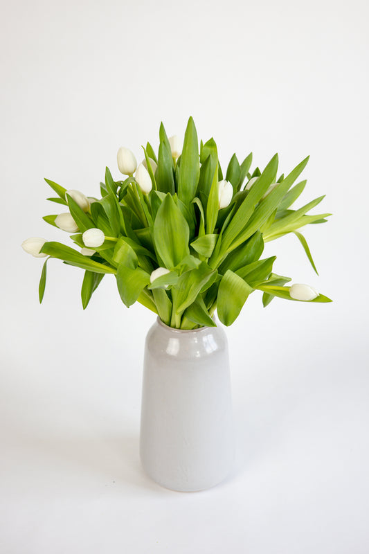 Witte tulpen vers van de kweker bezorgd